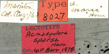 Media type: image;   Entomology 8027 Aspect: labels